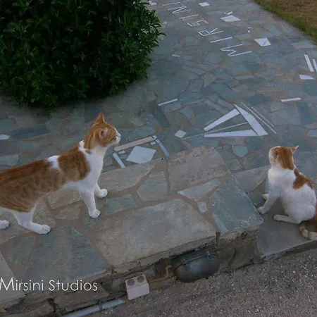 Mirsini Apartament Parasporos