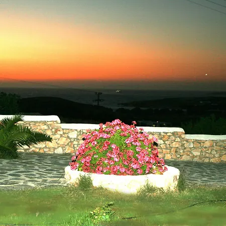 Mirsini *