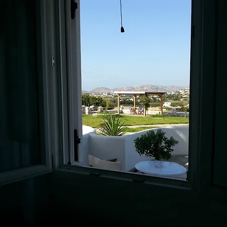 Mirsini * Parasporos