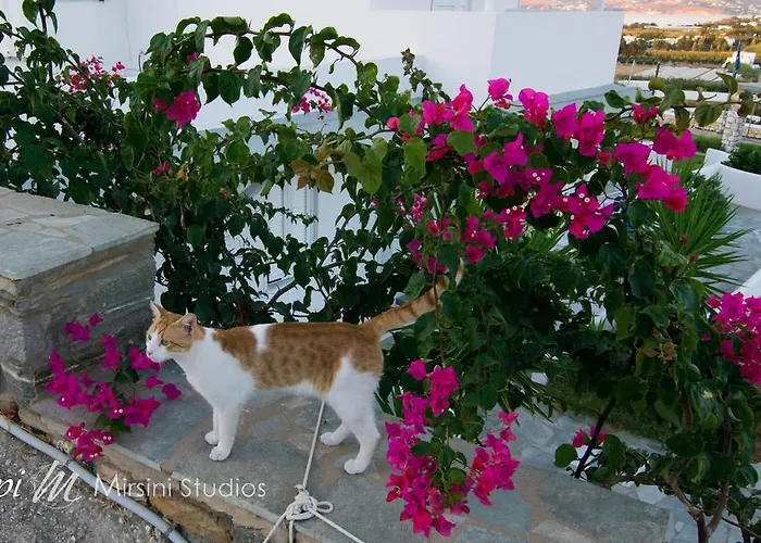 Mirsini Apartamento *