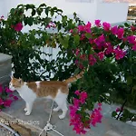 Mirsini 아파트 *