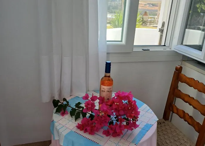 米尔斯尼公寓酒店 公寓 帕拉斯波罗斯