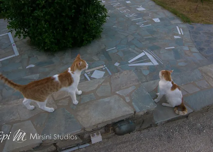 米尔斯尼公寓酒店 公寓 帕拉斯波罗斯