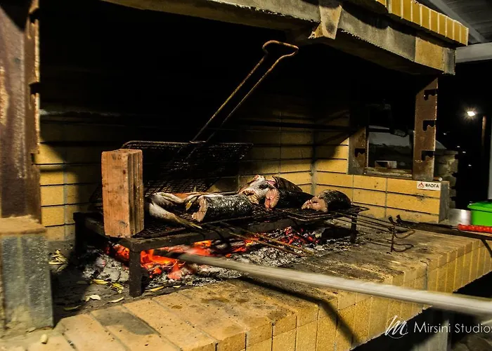 米尔斯尼公寓酒店 *